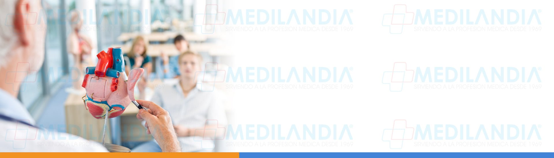 DIDÁCTICO - MEDILANDIA | Tienda de productos médicos