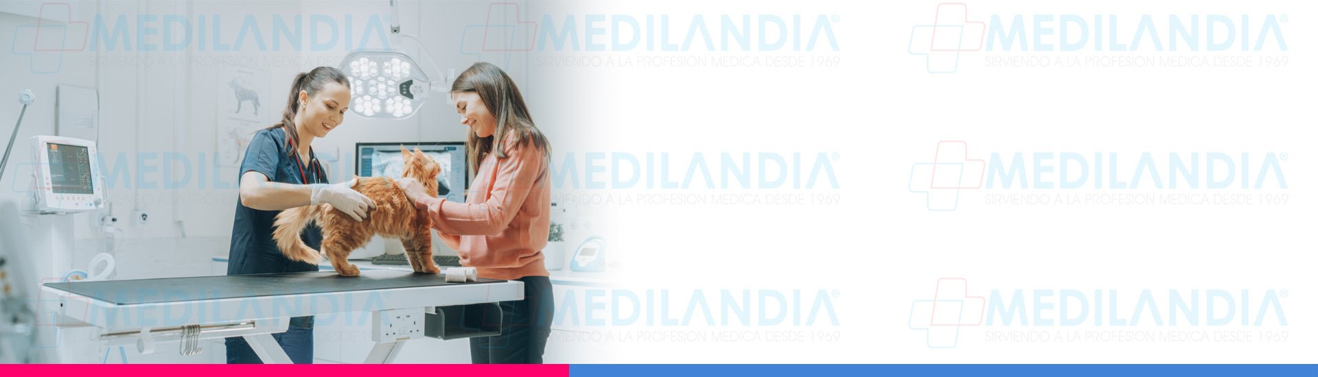 VETERINARIO - MEDILANDIA | Tienda de productos médicos
