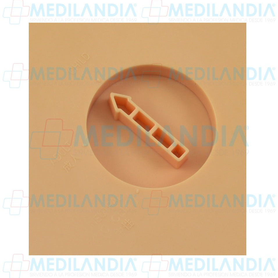 Maniquí de entrenamiento RCP medio cuerpo con control de tensión para niño y adulto - Maniqui para entrenamiento - MEDILANDIA- MEDILANDIA | Tienda de productos y equipos médicos de calidad en México | Soluciones profesionales para clínicas, hospitales y consultorios.