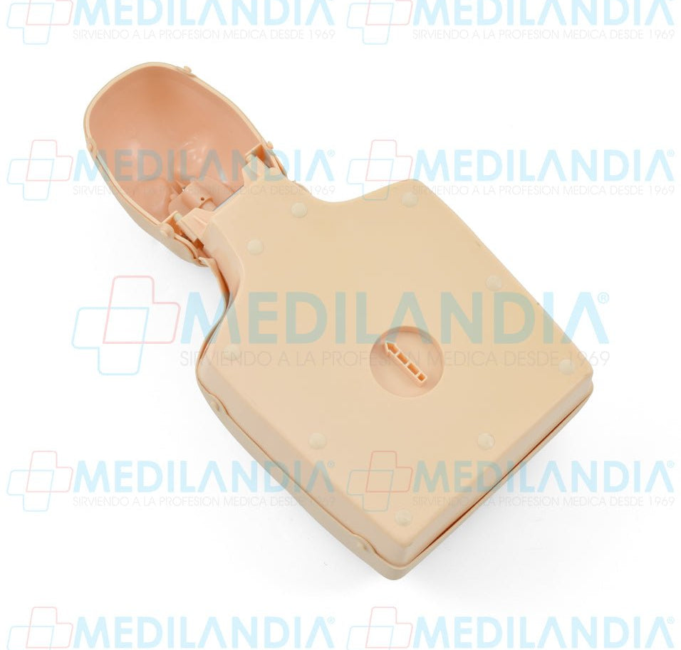 Maniquí de entrenamiento RCP medio cuerpo con control de tensión para niño y adulto - Maniqui para entrenamiento - MEDILANDIA- MEDILANDIA | Tienda de productos y equipos médicos de calidad en México | Soluciones profesionales para clínicas, hospitales y consultorios.