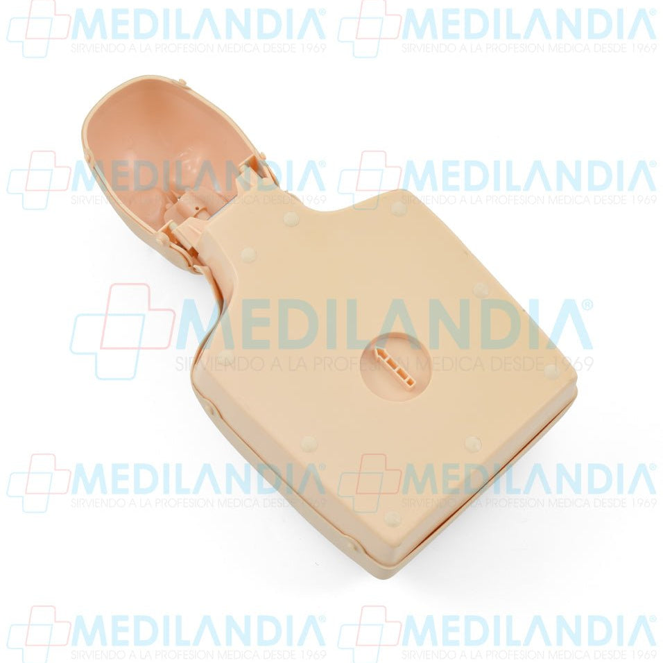 Maniquí de entrenamiento RCP medio cuerpo con control de tensión para niño y adulto - Maniqui para entrenamiento - MEDILANDIA- MEDILANDIA | Tienda de productos y equipos médicos de calidad en México | Soluciones profesionales para clínicas, hospitales y consultorios.