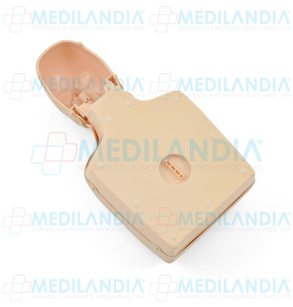 Maniquí de entrenamiento RCP medio cuerpo con control de tensión para niño y adulto - Maniqui para entrenamiento - MEDILANDIA- MEDILANDIA | Tienda de productos y equipos médicos de calidad en México | Soluciones profesionales para clínicas, hospitales y consultorios.