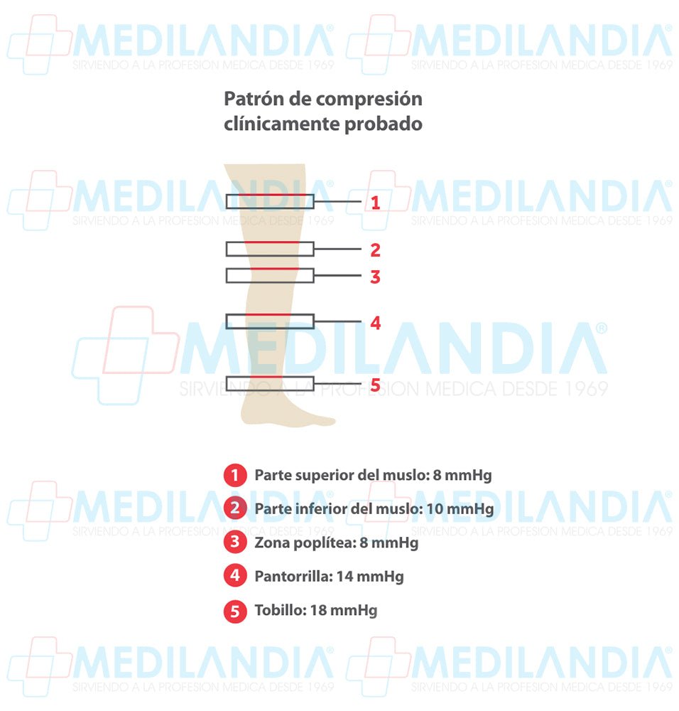 Medias de compresión antiembolismo tamaño hasta rodilla - Medias - CARDINAL HEALTH - MEDILANDIA | Tienda de productos y equipos médicos de calidad en México | Soluciones profesionales para clínicas, hospitales y consultorios.