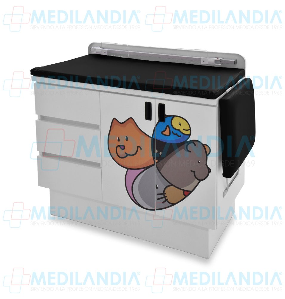 Mesa para exploración pediátrica con gabinete y cenefa - Mesa de exploracion - CIIASA - MEDILANDIA | Tienda de productos y equipos médicos de calidad en México | Soluciones profesionales para clínicas, hospitales y consultorios.