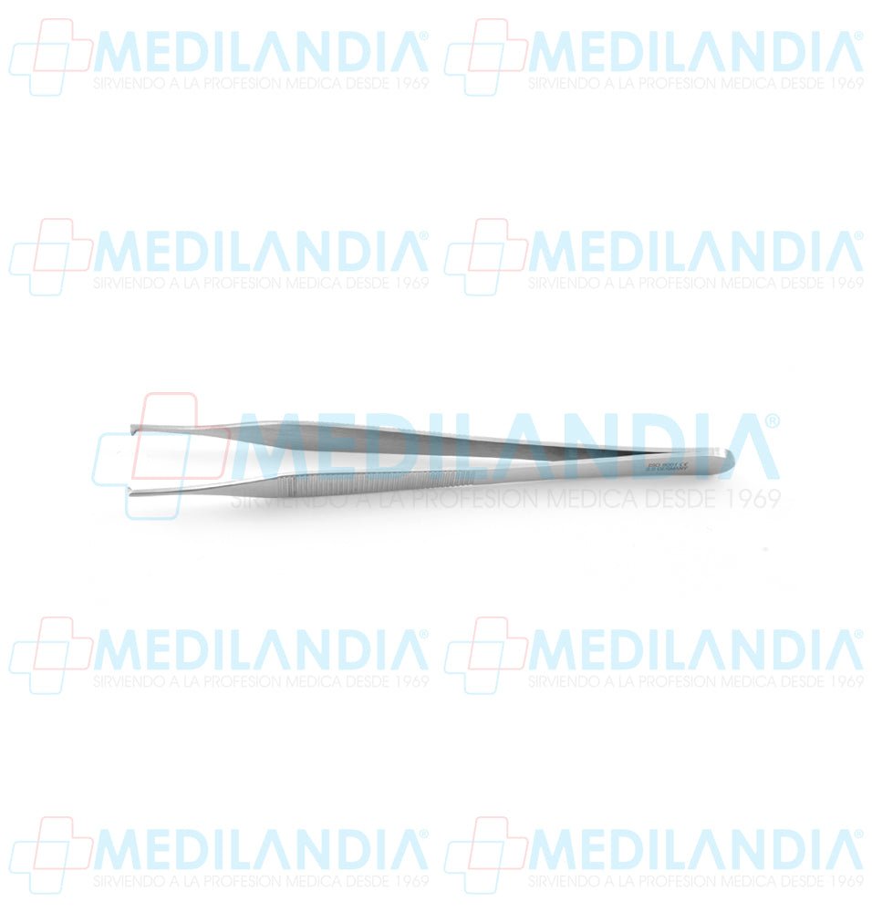 Pinza Adson con 2 x 1 dientes 15 cm - Pinzas - HP - MEDILANDIA | Tienda de productos y equipos médicos de calidad en México | Soluciones profesionales para clínicas, hospitales y consultorios.