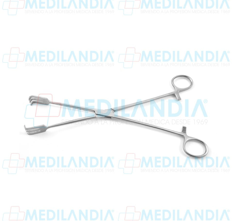 Pinza de tracción Lahey recta dientes 3 x 3 25 cm - Pinzas - HP- MEDILANDIA | Tienda de productos y equipos médicos de calidad en México | Soluciones profesionales para clínicas, hospitales y consultorios.