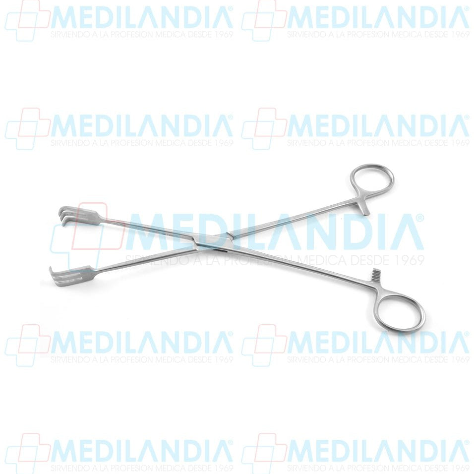 Pinza de tracción Lahey recta dientes 3 x 3 25 cm - Pinzas - HP- MEDILANDIA | Tienda de productos y equipos médicos de calidad en México | Soluciones profesionales para clínicas, hospitales y consultorios.
