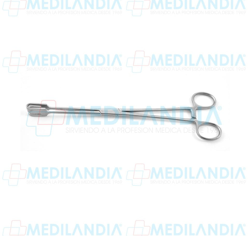 Pinza de tracción Lahey recta dientes 3 x 3 25 cm - Pinzas - HP- MEDILANDIA | Tienda de productos y equipos médicos de calidad en México | Soluciones profesionales para clínicas, hospitales y consultorios.