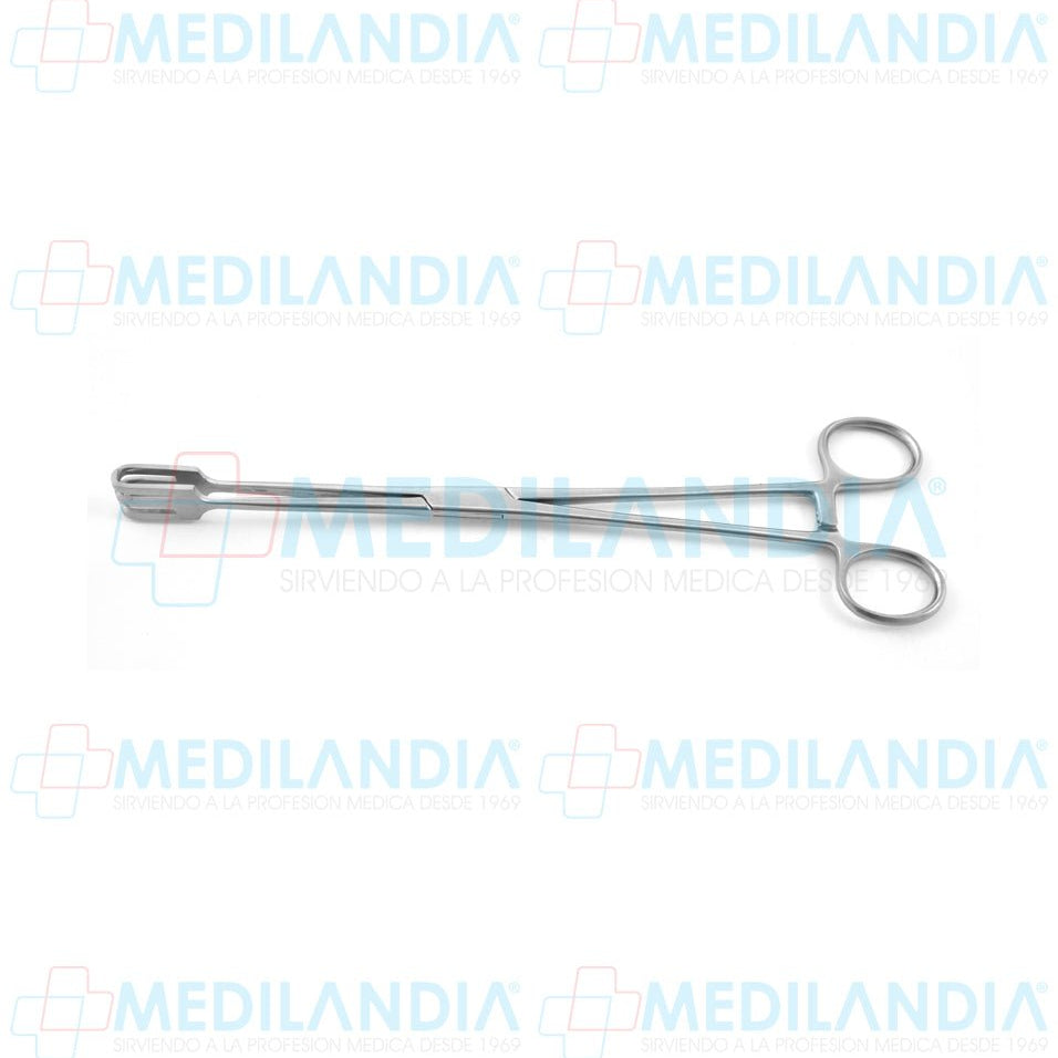 Pinza de tracción Lahey recta dientes 3 x 3 25 cm - Pinzas - HP- MEDILANDIA | Tienda de productos y equipos médicos de calidad en México | Soluciones profesionales para clínicas, hospitales y consultorios.