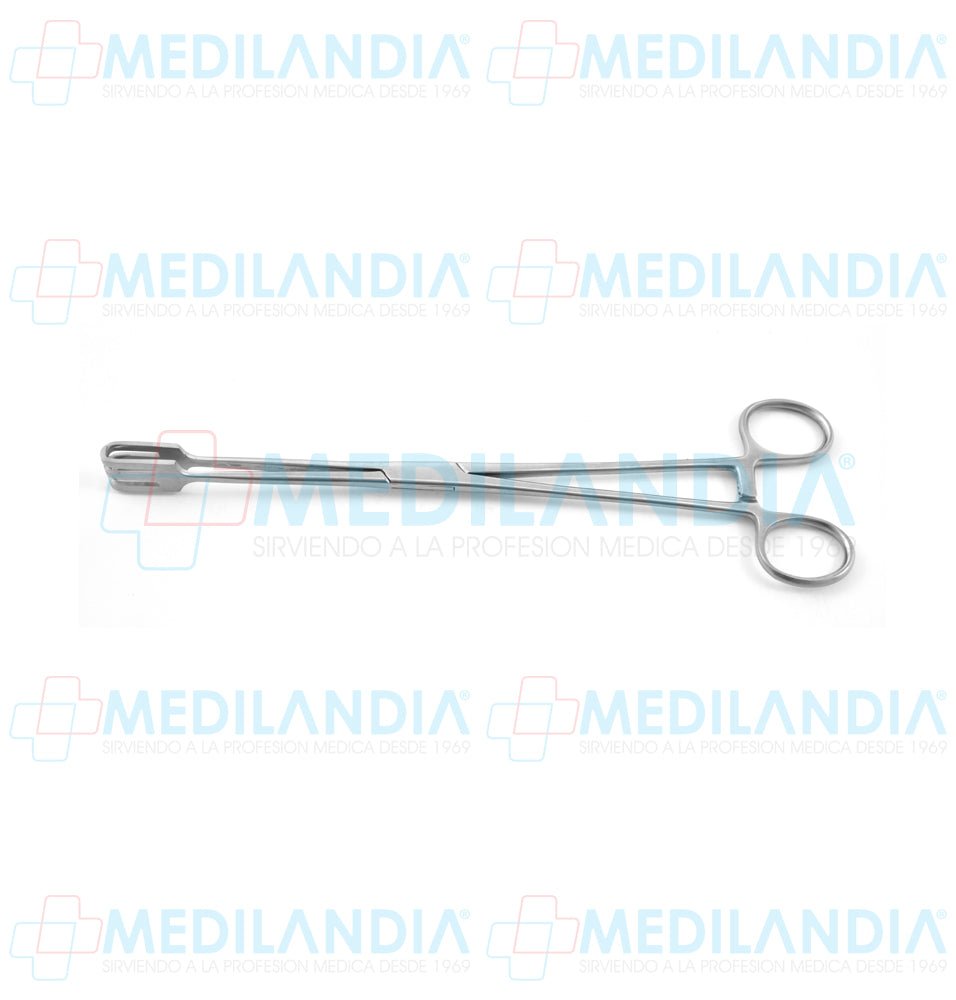 Pinza de tracción Lahey recta dientes 3 x 3 25 cm - Pinzas - HP- MEDILANDIA | Tienda de productos y equipos médicos de calidad en México | Soluciones profesionales para clínicas, hospitales y consultorios.