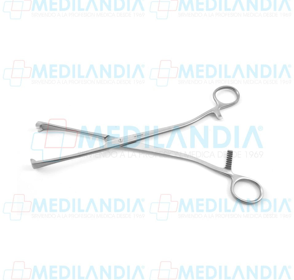 Pinza Museux recta quijada de 3 x 3 dientes 26 cm - Pinzas - HP- MEDILANDIA | Tienda de productos y equipos médicos de calidad en México | Soluciones profesionales para clínicas, hospitales y consultorios.