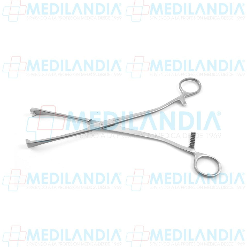 Pinza Museux recta quijada de 3 x 3 dientes 26 cm - Pinzas - HP- MEDILANDIA | Tienda de productos y equipos médicos de calidad en México | Soluciones profesionales para clínicas, hospitales y consultorios.