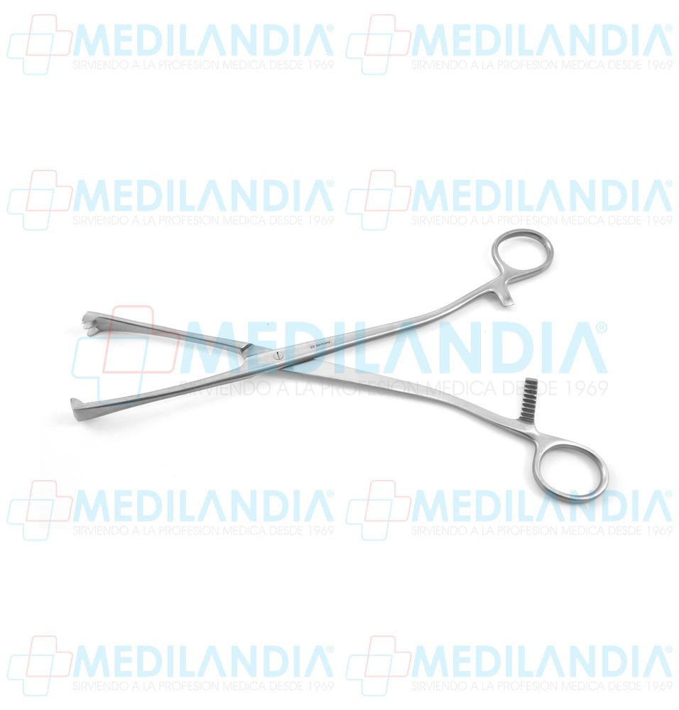 Pinza Museux recta quijada de 3 x 3 dientes 26 cm - Pinzas - HP- MEDILANDIA | Tienda de productos y equipos médicos de calidad en México | Soluciones profesionales para clínicas, hospitales y consultorios.