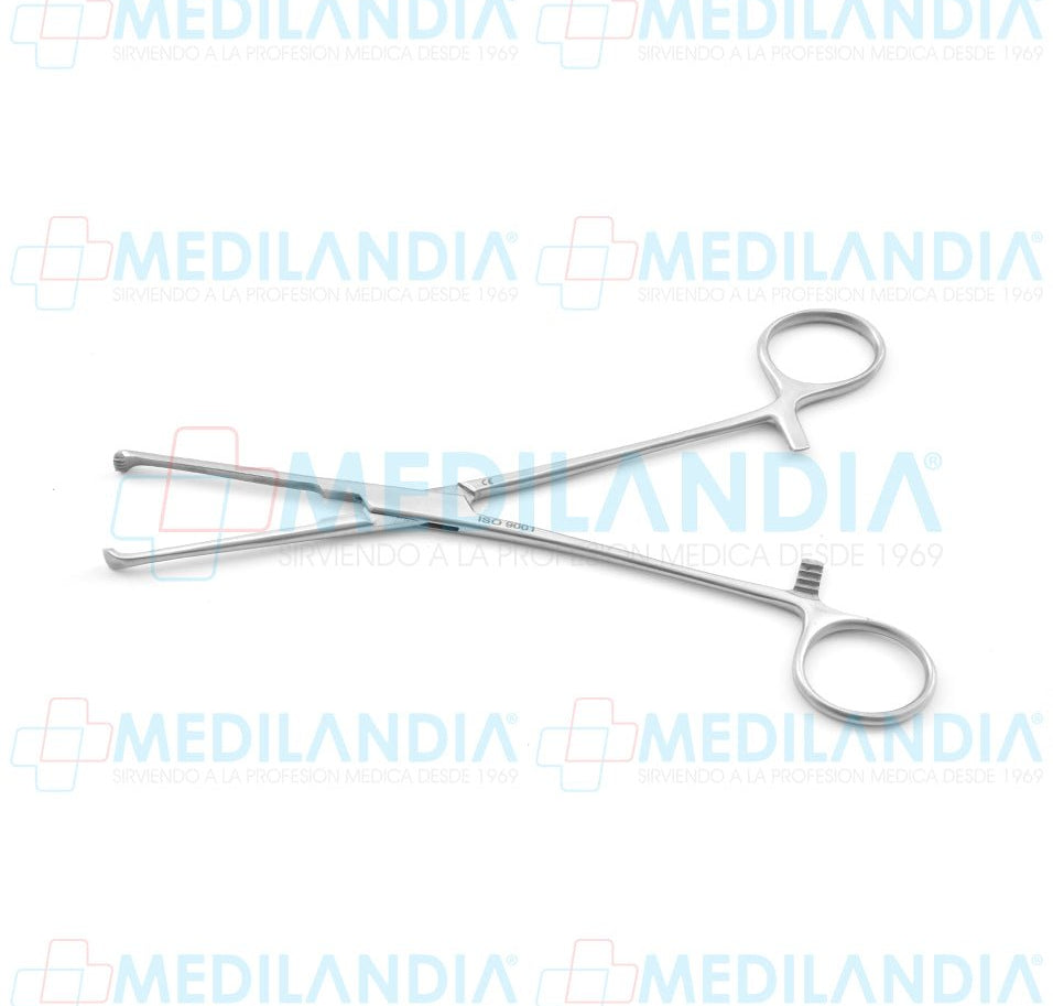 Pinza para tejidos Allis (dentada 4 x 3) 20 cm - Pinzas - HP - MEDILANDIA | Tienda de productos y equipos médicos de calidad en México | Soluciones profesionales para clínicas, hospitales y consultorios.