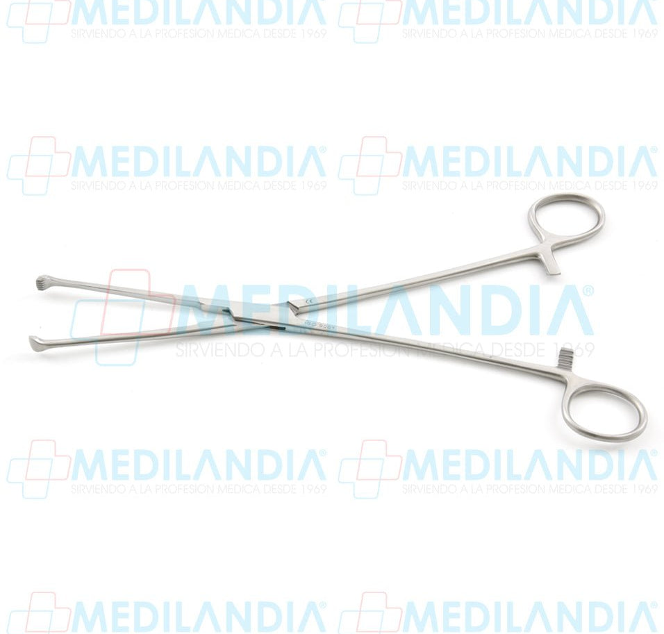 Pinza para tejidos Allis Willauer (dentada 5 x 6) 25 cm - Pinzas - HP - MEDILANDIA | Tienda de productos y equipos médicos de calidad en México | Soluciones profesionales para clínicas, hospitales y consultorios.