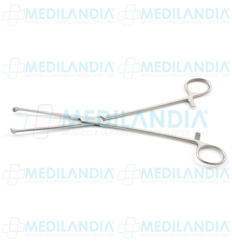 Pinza para tejidos Allis Willauer (dentada 5 x 6) 25 cm - Pinzas - HP - MEDILANDIA | Tienda de productos y equipos médicos de calidad en México | Soluciones profesionales para clínicas, hospitales y consultorios.