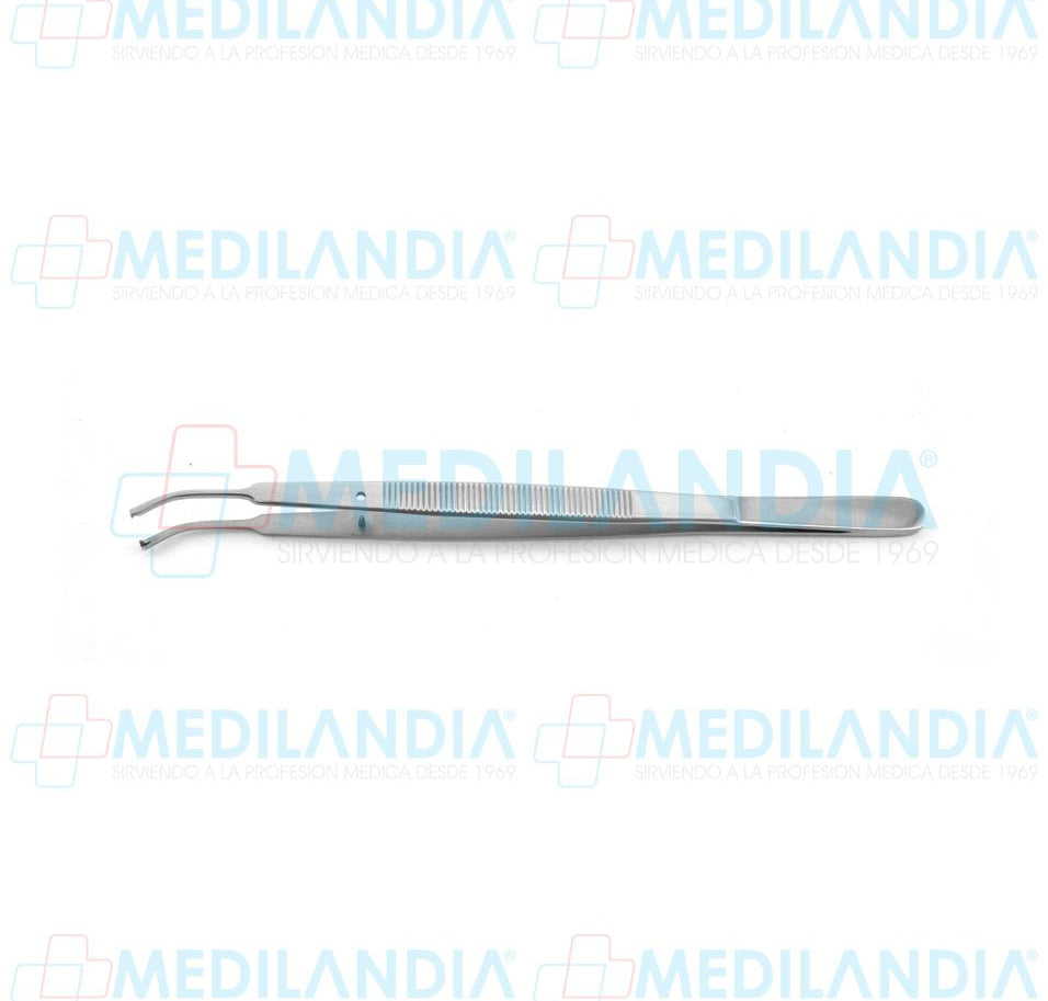 Pinza pata tejidos Taylor curva con dientes 18 cm - Pinzas - HP- MEDILANDIA | Tienda de productos y equipos médicos de calidad en México | Soluciones profesionales para clínicas, hospitales y consultorios.