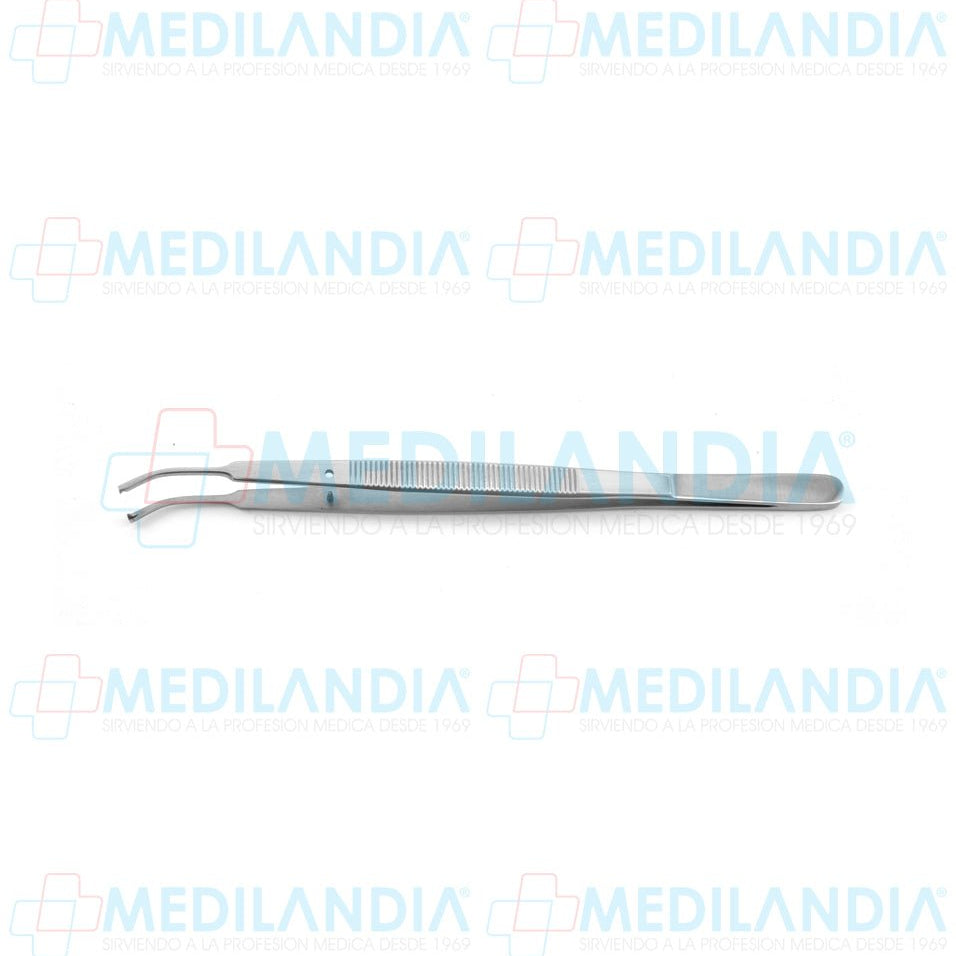 Pinza pata tejidos Taylor curva con dientes 18 cm - Pinzas - HP- MEDILANDIA | Tienda de productos y equipos médicos de calidad en México | Soluciones profesionales para clínicas, hospitales y consultorios.