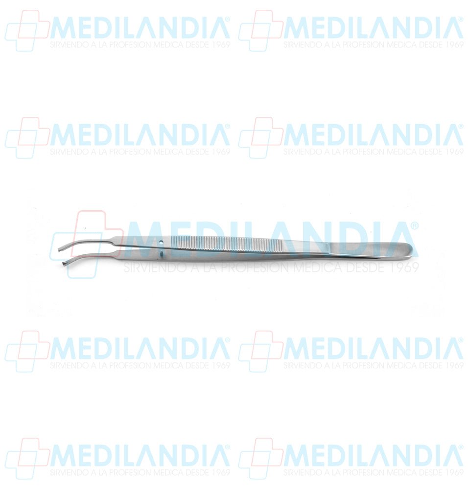 Pinza pata tejidos Taylor curva con dientes 18 cm - Pinzas - HP- MEDILANDIA | Tienda de productos y equipos médicos de calidad en México | Soluciones profesionales para clínicas, hospitales y consultorios.