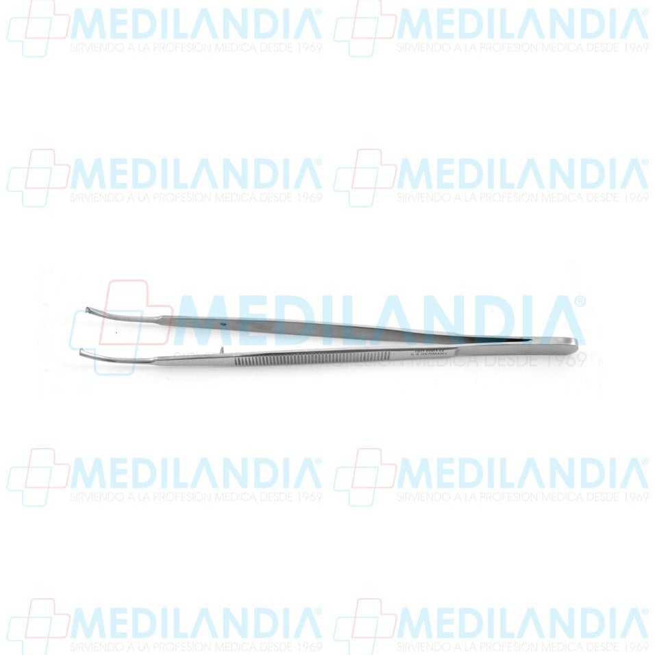 Pinza pata tejidos Taylor curva con dientes 18 cm - Pinzas - HP- MEDILANDIA | Tienda de productos y equipos médicos de calidad en México | Soluciones profesionales para clínicas, hospitales y consultorios.
