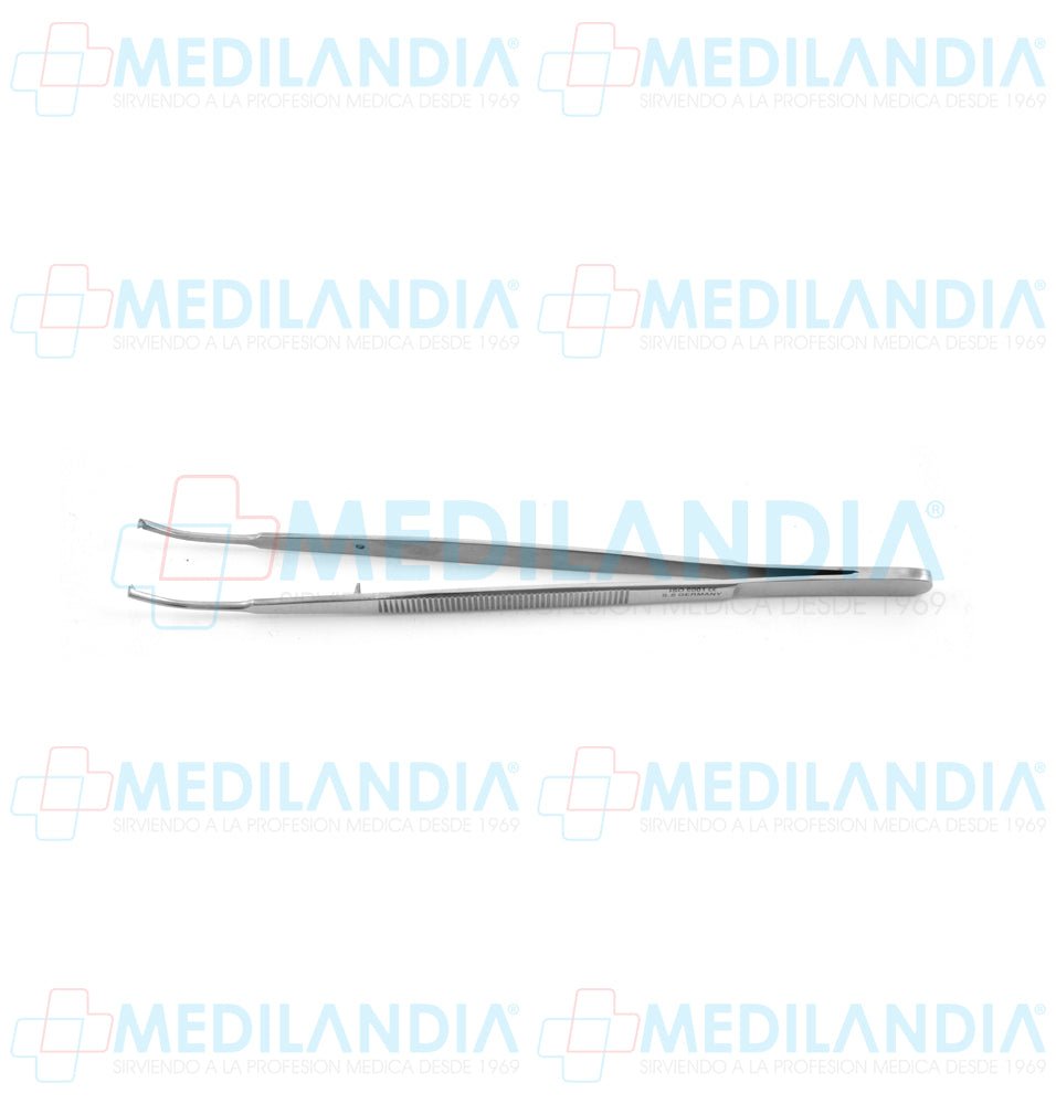 Pinza pata tejidos Taylor curva con dientes 18 cm - Pinzas - HP- MEDILANDIA | Tienda de productos y equipos médicos de calidad en México | Soluciones profesionales para clínicas, hospitales y consultorios.