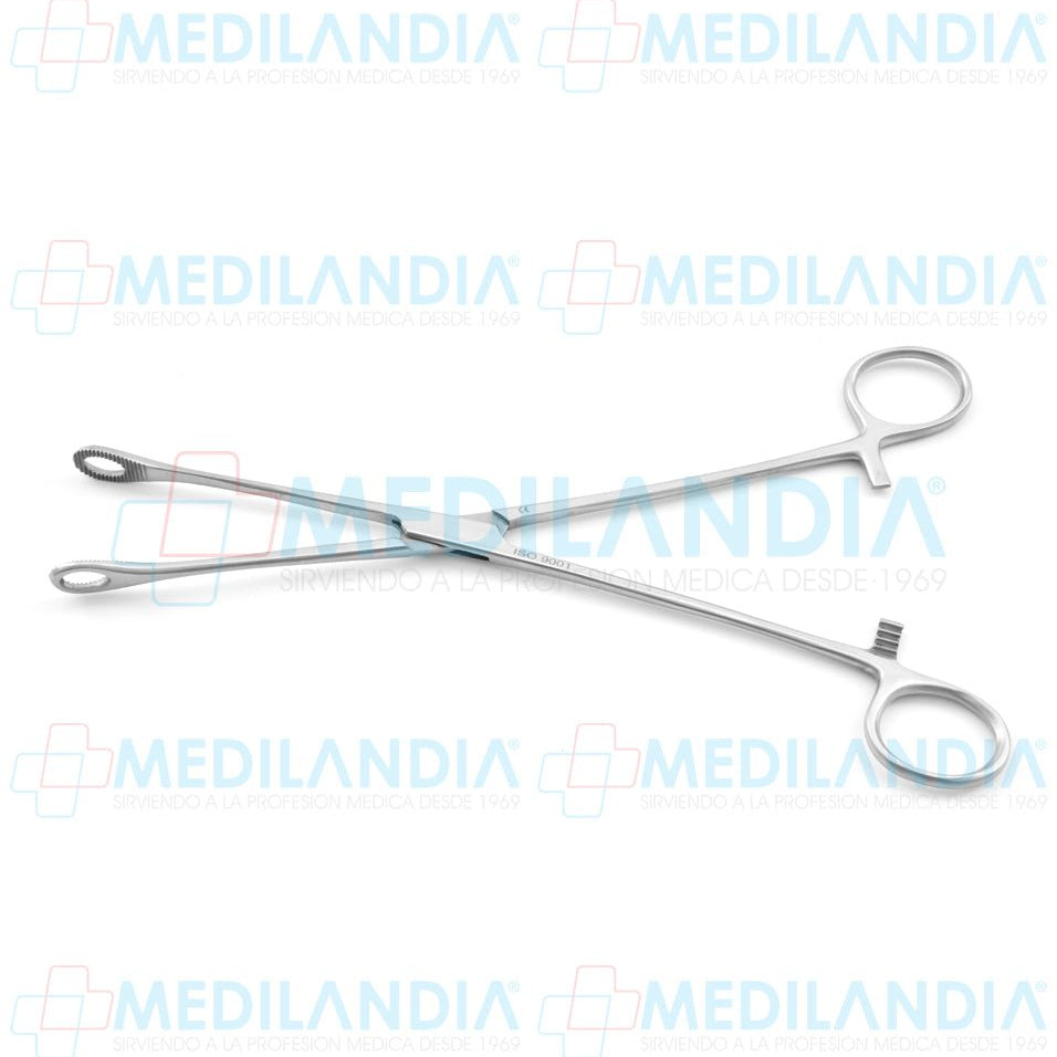 Pinza porta esponja Foerster (Forester) con anillo pequeño recta 24 cm - Pinzas - HP - MEDILANDIA | Tienda de productos y equipos médicos de calidad en México | Soluciones profesionales para clínicas, hospitales y consultorios.