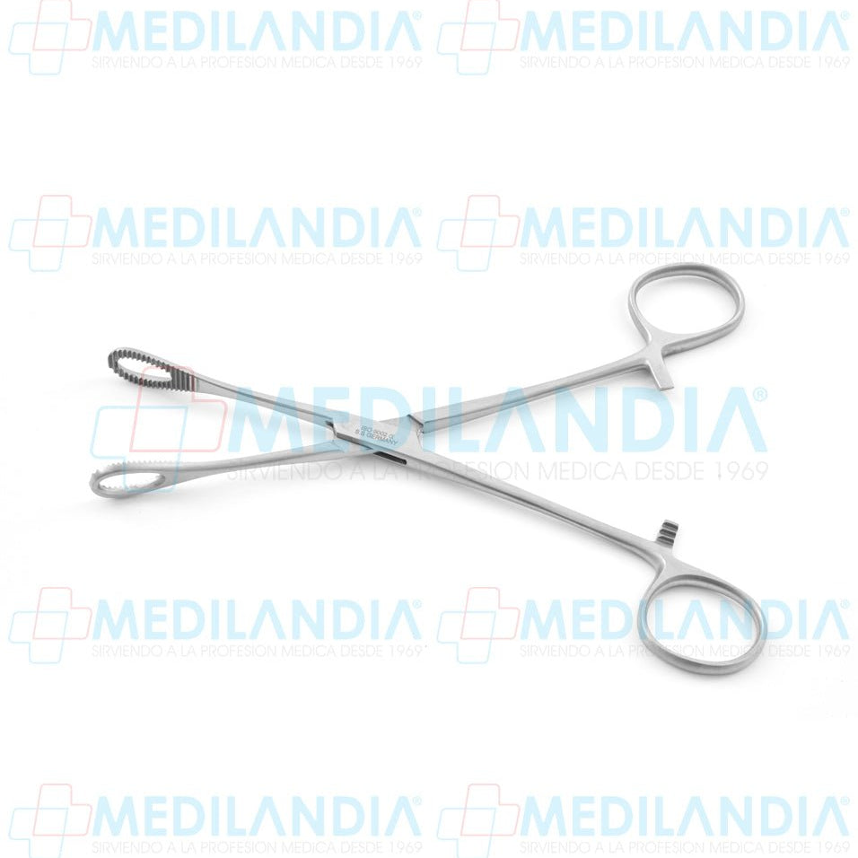 Pinza porta esponja Foerster (Forester) recta 18 cm - Pinzas - HP - MEDILANDIA | Tienda de productos y equipos médicos de calidad en México | Soluciones profesionales para clínicas, hospitales y consultorios.